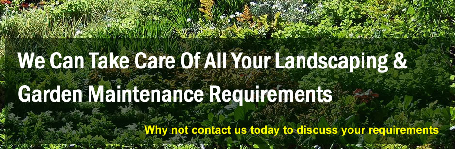 Best Landscapers London